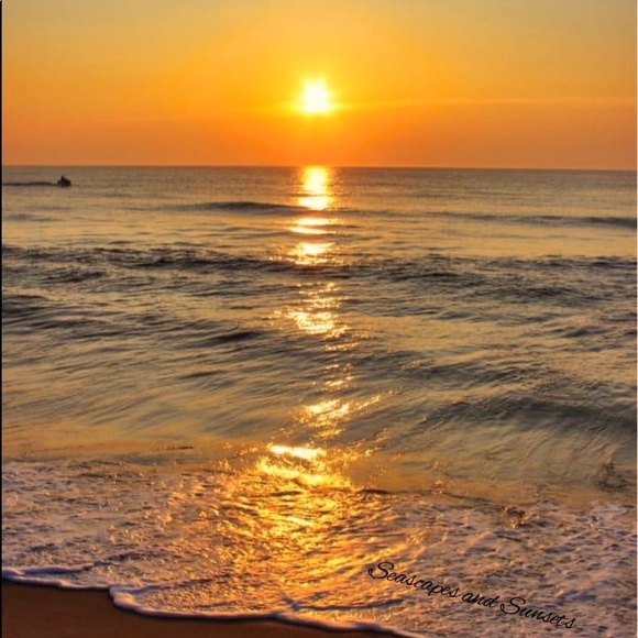 Meet your Posher, Lana - Picture 1 of 1